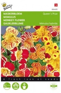 004495 opici kvet mimulus_500x500